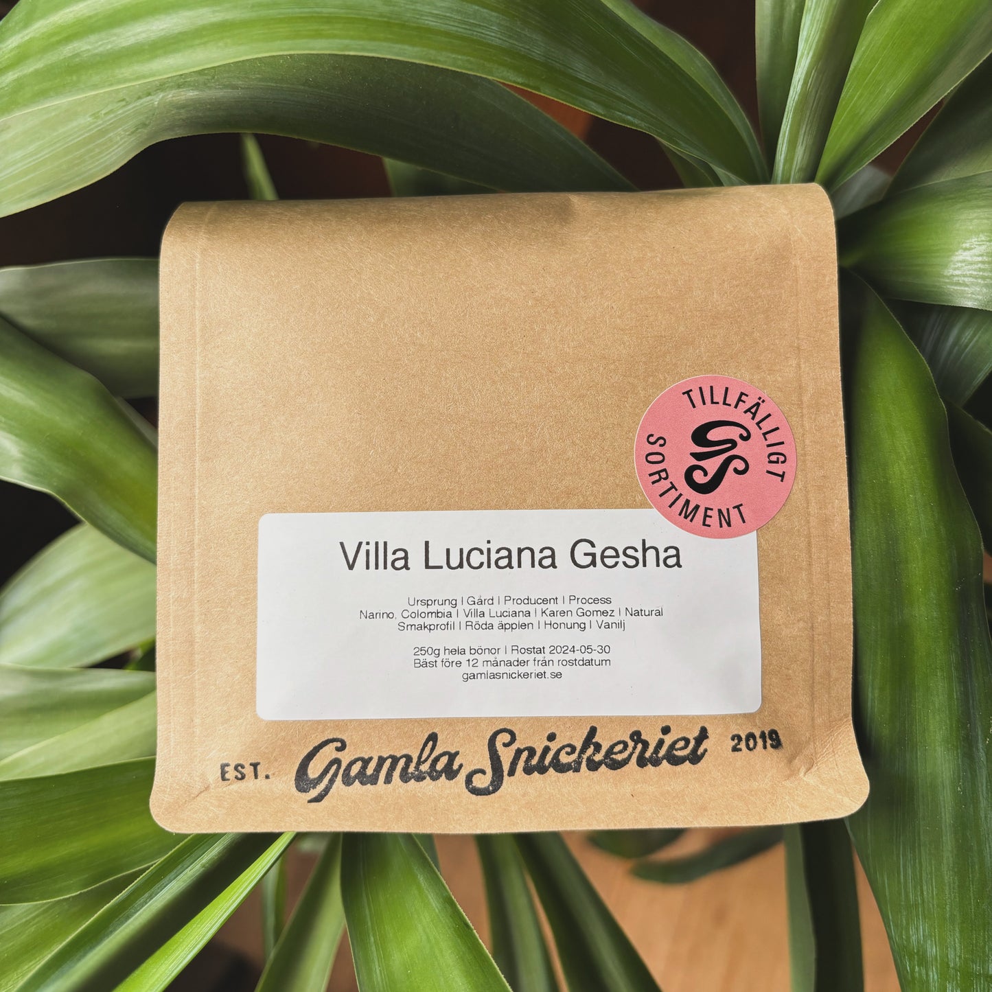 Villa Luciana Gesha - Colombia